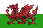 Welsh National Flag