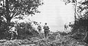 9th Division Troops Advance
