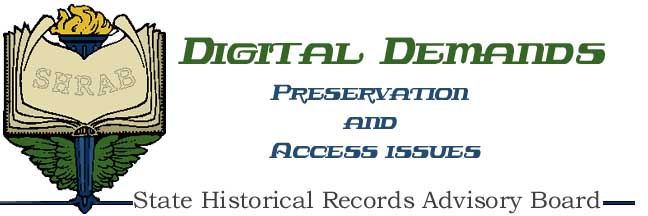 Digital Demands - State Historical Records Advisory Board - design by Bascha Harris
